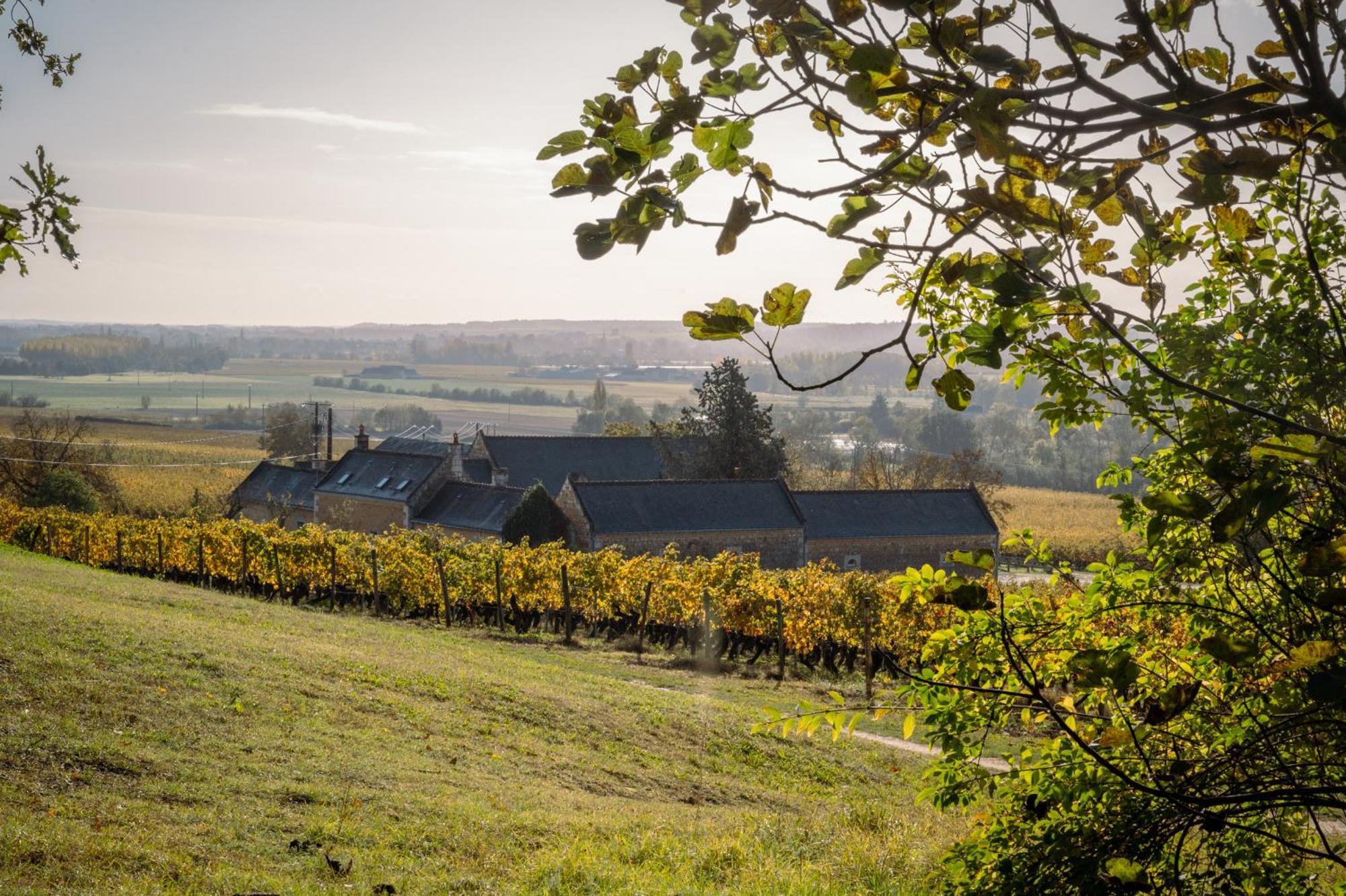 Domaine Beausejour Panzoult Exterior foto